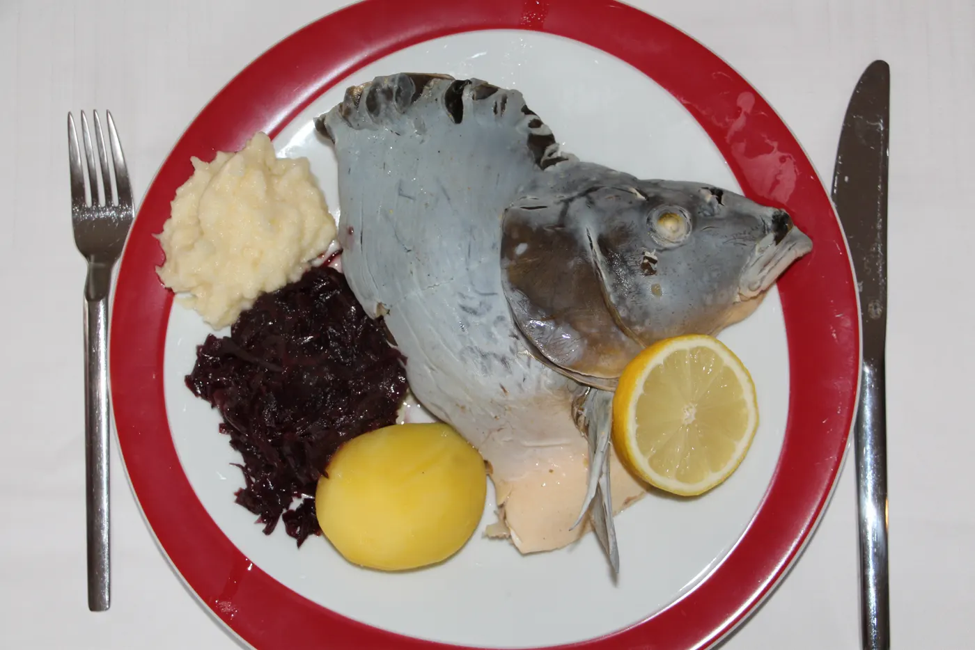 Karpfen Blau – Bild 2